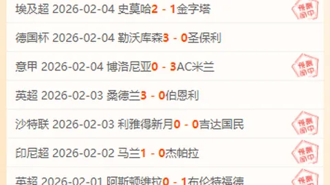 孙杨荣耀时刻：共进退的新锐同行——澎湃独家报道